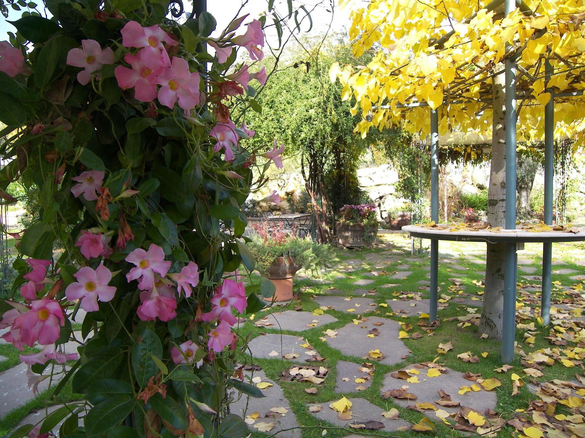 Hotel Des Reves SantʼElia Fiumerapido Екстериор снимка